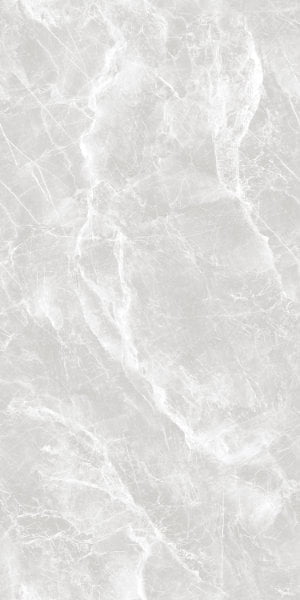 CR EL Ebony Silver R1