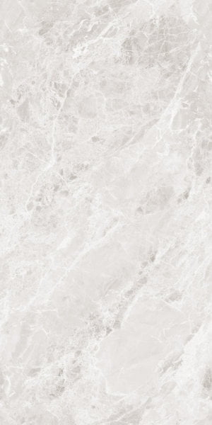 CR EL Fedor Silver R1