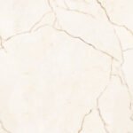 CR EL Harmony Tusk R2