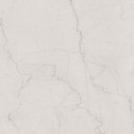 CR Royal Botochinno Silver F1