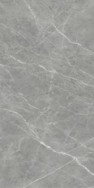 CR Silk River Grey F1