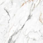 El Indus Satutario F1