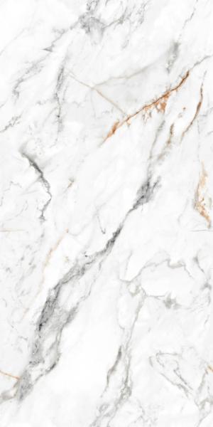 El Indus Satutario F1