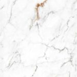 El Indus Satutario F2