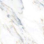 El Royal Moon Goldy R1