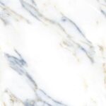 El Royal Moon Goldy R2