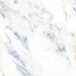 El Royal Moon Goldy R3