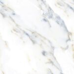 El Royal Moon Goldy R4