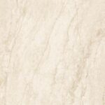Fossil Beige P1