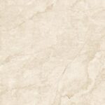Fossil Beige P4