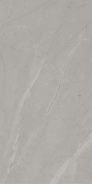 Oracle Armani Gris F1