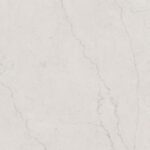 Savio Botochinno Silver F2