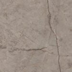 Silver River Grey F2