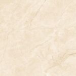 Zander Beige R1