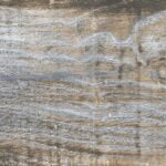 Birchwood Ancient P1