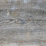 Birchwood Ancient P5