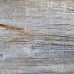 Birchwood Ancient P6