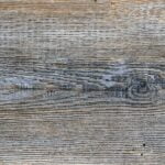 Birchwood Ancient P8