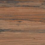 Burn Wood P14