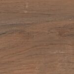 Burn Wood P8