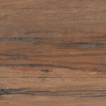 Burn Wood P9