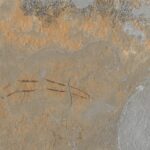 Kalahari Natural P13